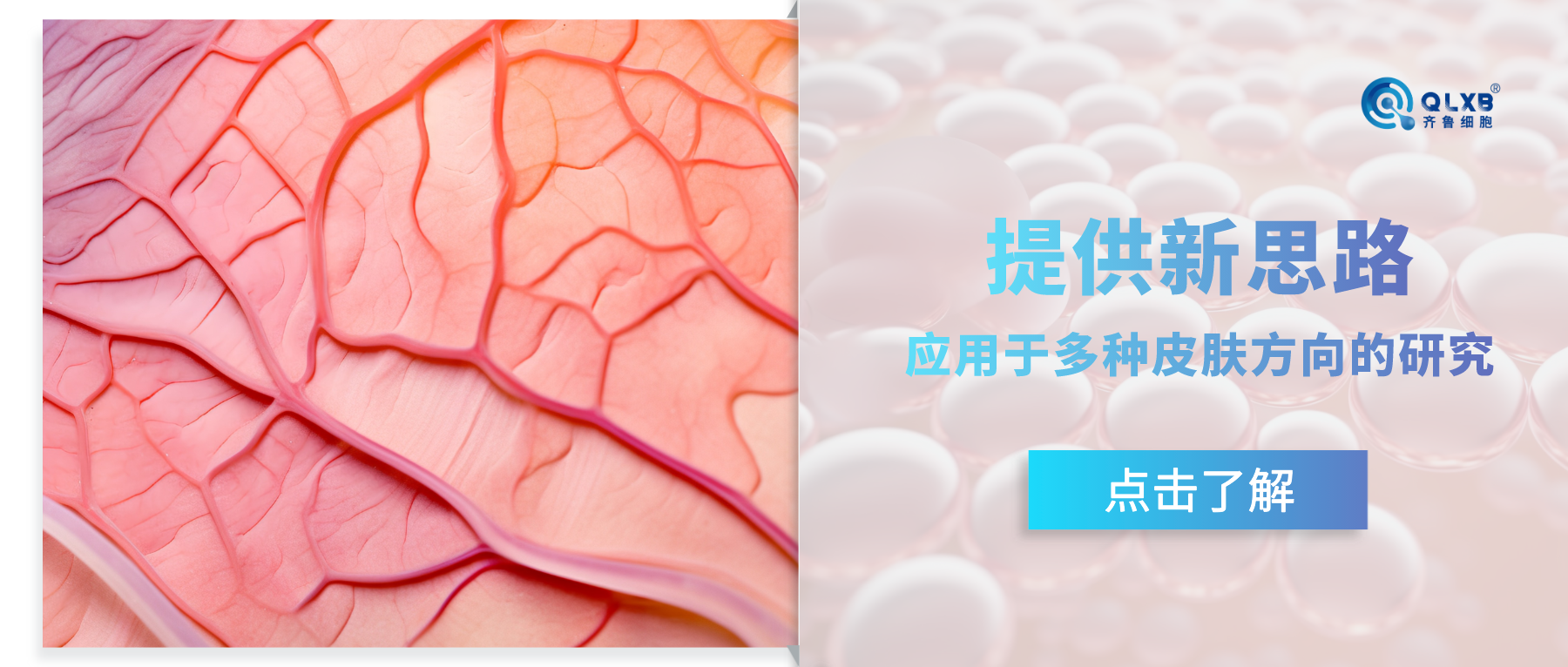 拓展新思路，干細胞在多種皮膚病方向的研究與應用