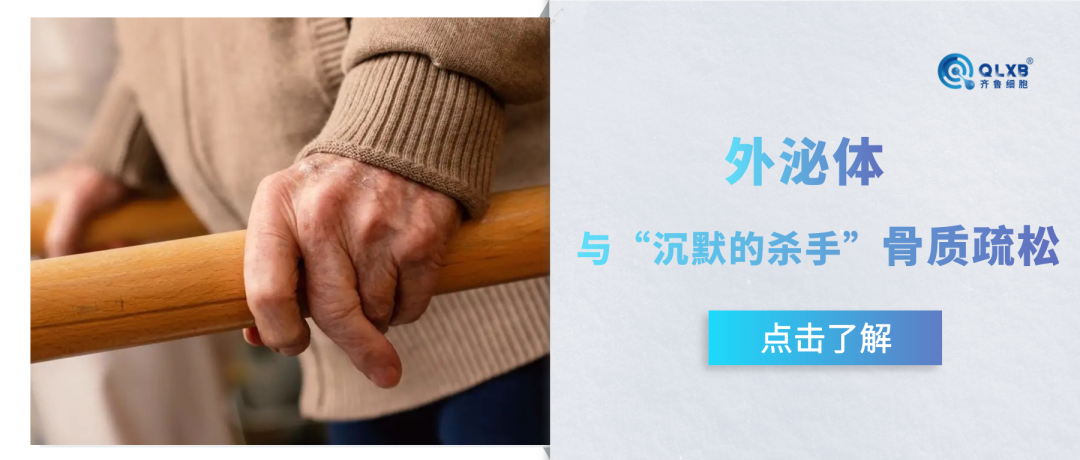 外泌體應對“沉默的殺手”骨質疏松，或是潛力策略