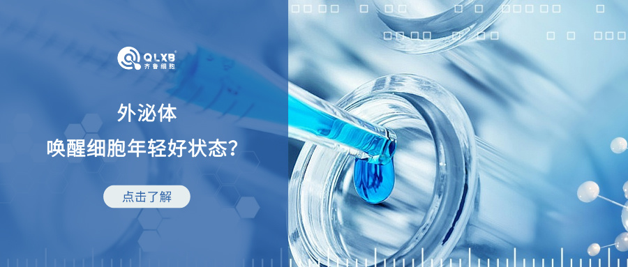 科普日常 | 微觀下的“社交達人”外泌體，喚醒細胞年輕好狀態