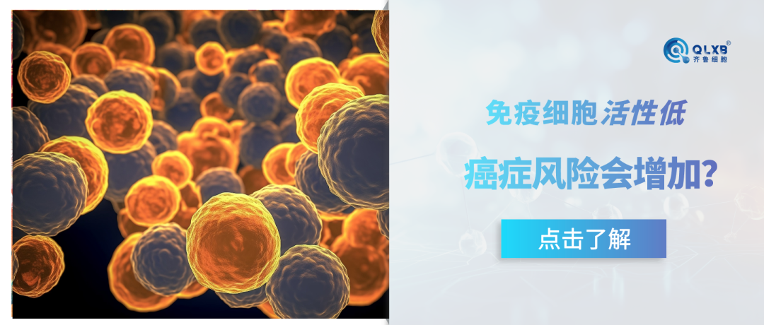 免疫細胞活性低，癌癥風險會增加？免疫細胞衰老會加速人體全面衰老~