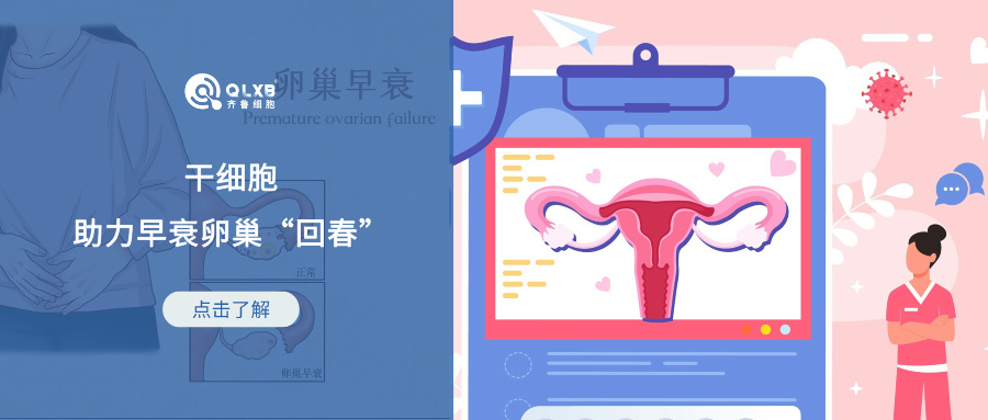 ?女性全身衰老的加速器 ！干細胞或可助力早衰卵巢“回春”