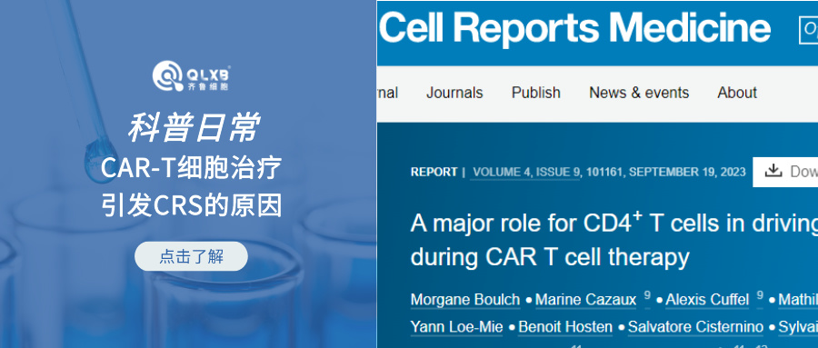 科普日常 | CAR-T細(xì)胞治療引發(fā)CRS的原因——CD4+CAR-T是關(guān)鍵 科普日常 | CAR-T細(xì)胞治療引發(fā)CRS的原因——CD4+CAR-T是關(guān)鍵