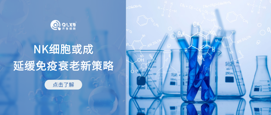 免疫功能和炎癥反應、疾病發生密不可分，NK細胞或可成為緩解免疫衰老新策略