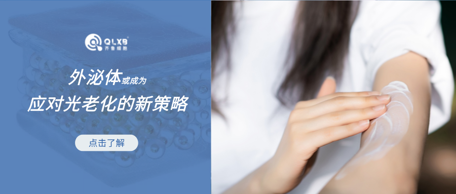 夏季陽光直擊皮膚暗藏隱患，外泌體或成為應(yīng)對(duì)光老化的新策略