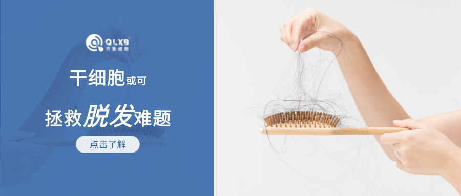 我國脫發人數達2.5億，干細胞或可“拯救”脫發難題。