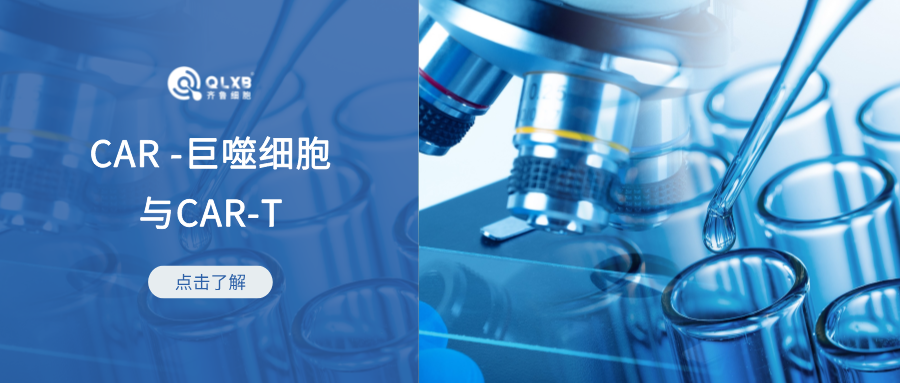 科普日常 | CAR -巨噬細胞與CAR-T對抗實體瘤:新星與巨星之間的競賽