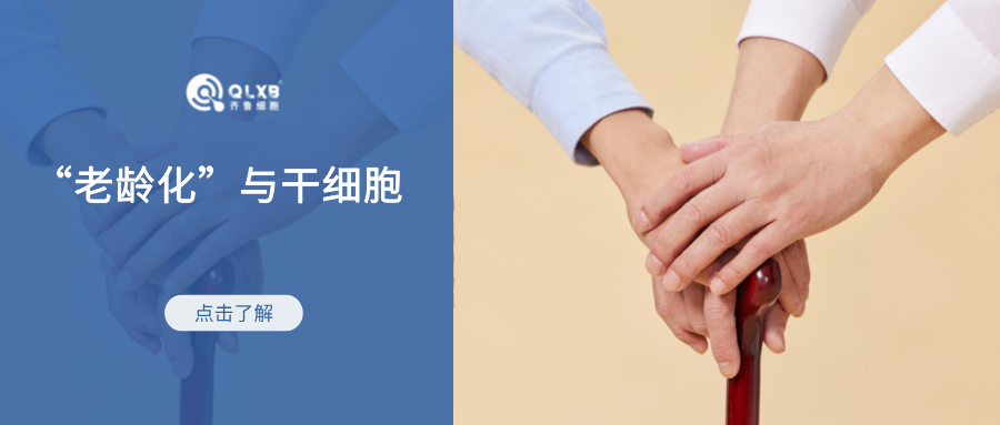 “延遲退休”細則發(fā)布,干細胞或可為“老齡化”社會保駕護航 “延遲退休”細則發(fā)布,干細胞或可為“老齡化”社會保駕護航