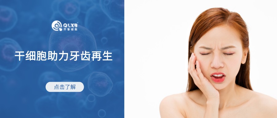 科普日常 | 干細胞或可助力牙齒再生