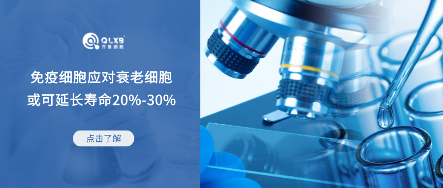 衰老細胞是健康“絆腳石”，利用免疫細胞清除，壽命或可延長20%~30%