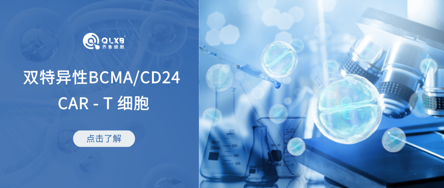 科普日常 | 雙特異性BCMA/CD24 CAR - T 細(xì)胞療法為多發(fā)性骨髓瘤治療帶來(lái)新希望 科普日常 | 雙特異性BCMA/CD24 CAR - T 細(xì)胞療法為多發(fā)性骨髓瘤治療帶來(lái)新希望