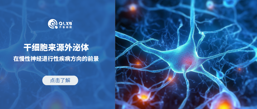 干細(xì)胞來(lái)源外泌體在慢性神經(jīng)退行性疾病方向的前景 干細(xì)胞來(lái)源外泌體在慢性神經(jīng)退行性疾病方向的前景