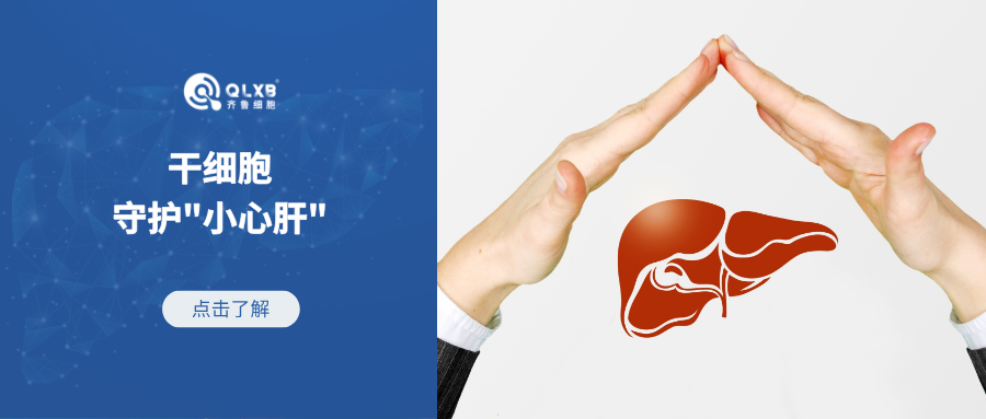 科普日常 | 間充質干細胞--守護你的“小心肝”