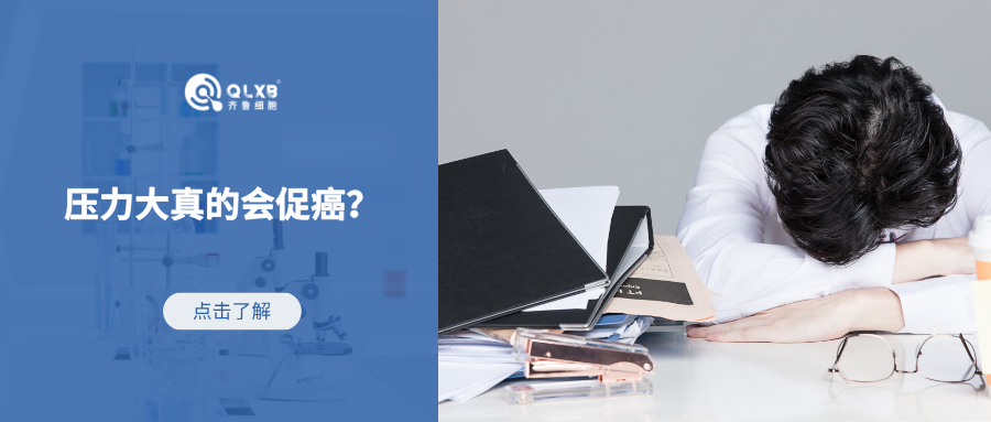 壓力大真的促癌？免疫細胞守護機體健康的第一道防線