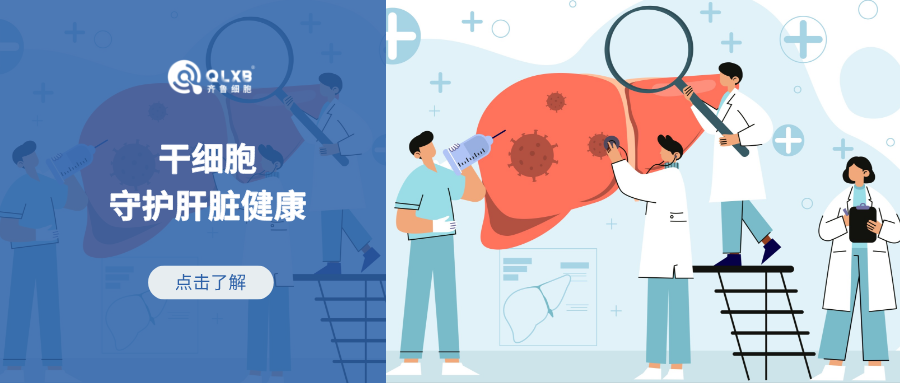 肝臟衰老會誘發(fā)其他器官的衰老？干細胞守護肝臟健康