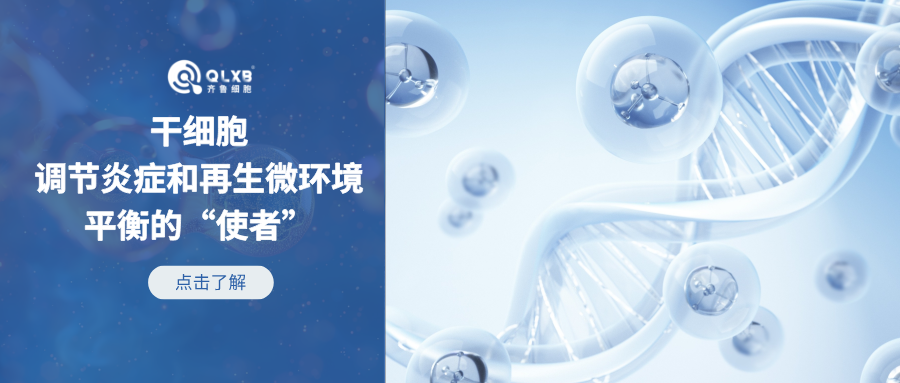 炎癥刺激加速免疫衰老，間充質(zhì)干細胞-調(diào)節(jié)炎癥和再生微環(huán)境平衡的“使者”