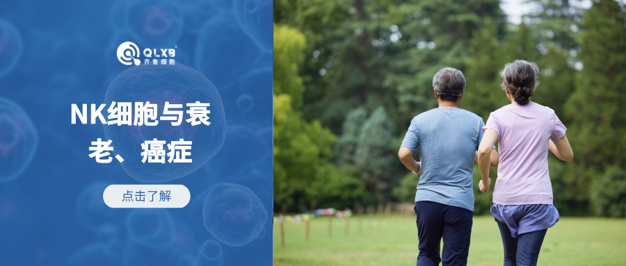 ?新研究:揭示免疫系統“哨兵”NK細胞與衰老、癌癥之間的聯系 ?新研究:揭示免疫系統“哨兵”NK細胞與衰老、癌癥之間的聯系