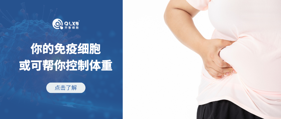 “體重管理年”話題熱度不減！你的免疫細胞或能幫你控制體重