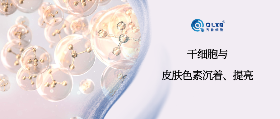 科普日常 | 干細胞及其外泌體在肌膚色素沉著、提亮方向潛力十足 科普日常 | 干細胞及其外泌體在肌膚色素沉著、提亮方向潛力十足