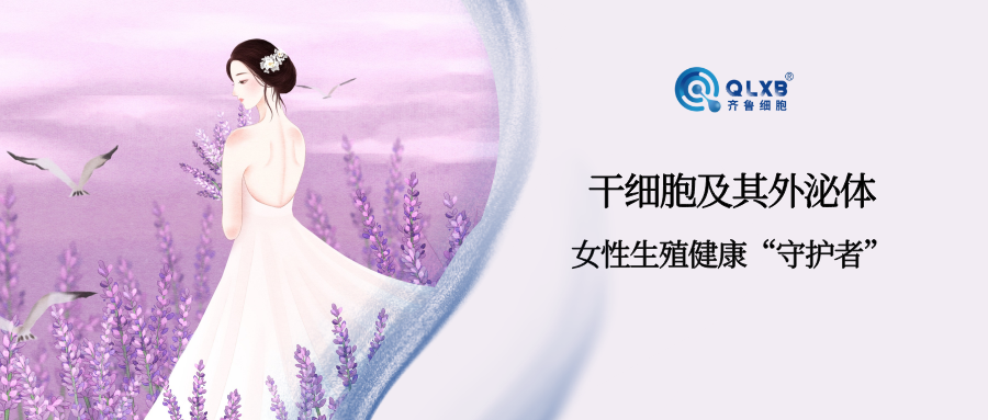 案例分享 | 干細胞與外泌體或可成為女性生殖健康的守護者 案例分享 | 干細胞與外泌體或可成為女性生殖健康的守護者