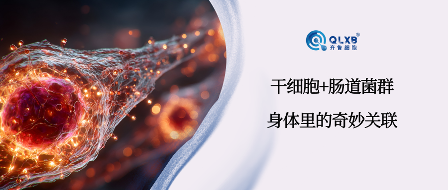 科普日常 | 間充質干細胞與腸道菌群:身體里的奇妙關聯 科普日常 | 間充質干細胞與腸道菌群:身體里的奇妙關聯