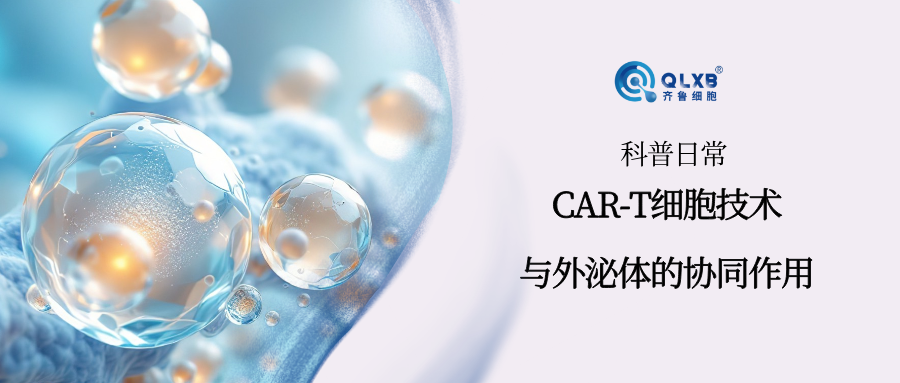 科普日常 | 前沿探索:CAR-T 細胞技術與外泌體的協同作用新征程 科普日常 | 前沿探索:CAR-T 細胞技術與外泌體的協同作用新征程