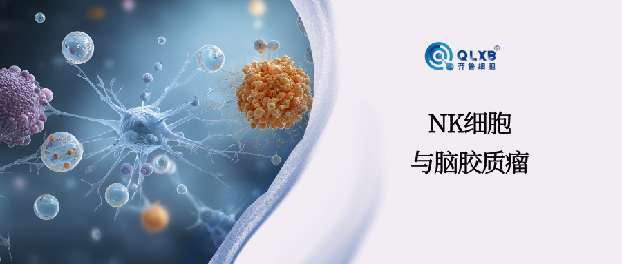 新研究：NK細胞打開應(yīng)對腦膠質(zhì)瘤的新視角