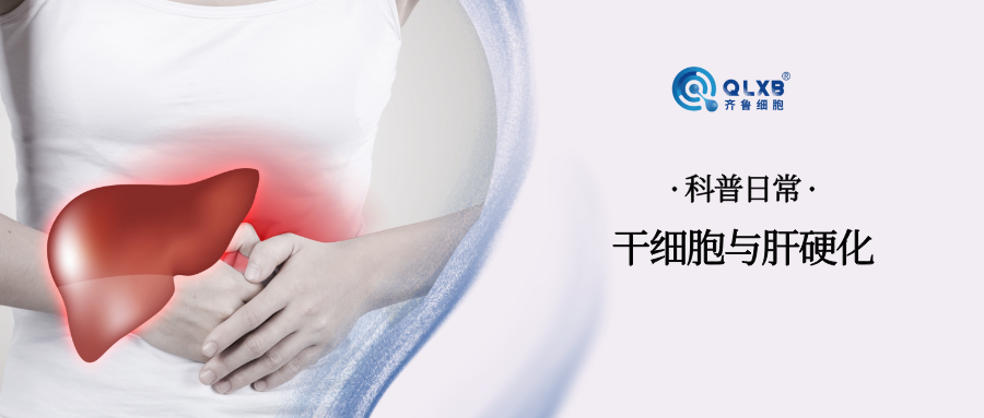 科普日常 | 當(dāng)肝硬化遇上干細(xì)胞,點(diǎn)亮健康希望 科普日常 | 當(dāng)肝硬化遇上干細(xì)胞,點(diǎn)亮健康希望