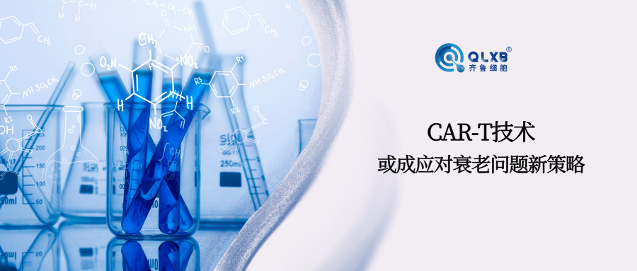 “青春保衛戰”新策略：CAR-T技術或成應對衰老新利器