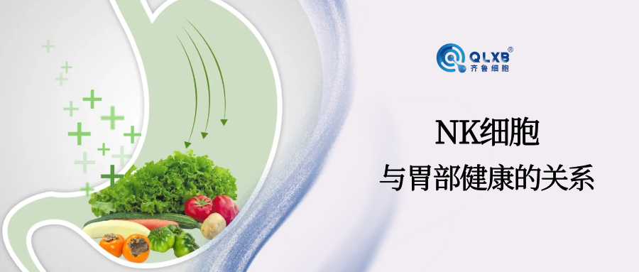 NK細(xì)胞活性降低，胃癌風(fēng)險或隨之升高，守護(hù)健康防線，守護(hù)胃部健康