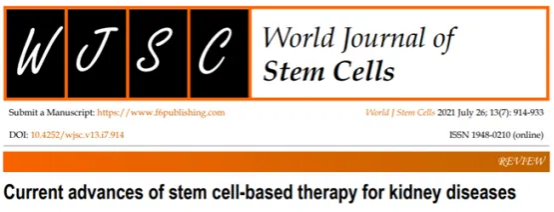 沉默的流行病：中國1.52億，全球7.88億，干細(xì)胞或可為腎臟危機帶來新曙光
