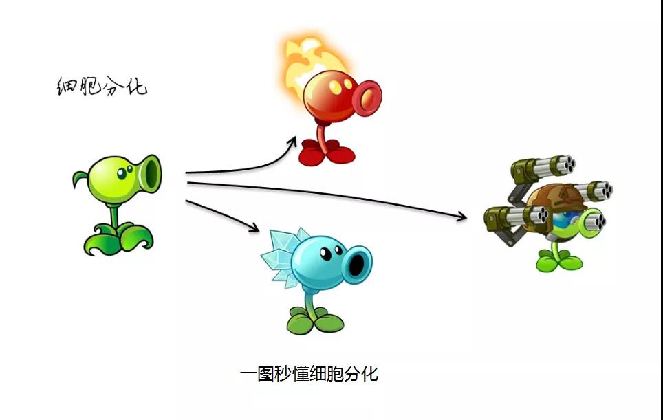 微信圖片_20200413155844 微信圖片_20200413155844