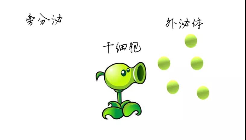 微信圖片_20200413155854 微信圖片_20200413155854