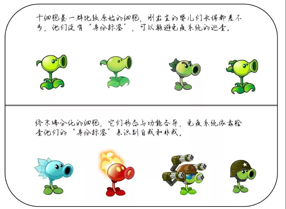 微信圖片_20200413155859 微信圖片_20200413155859