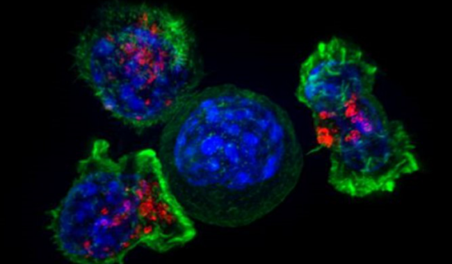 微信圖片_20200508095002 微信圖片_20200508095002