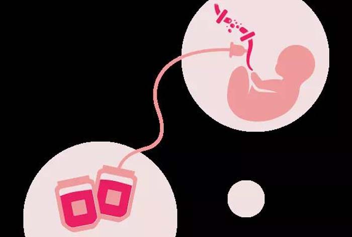 微信圖片_20200601110551 微信圖片_20200601110551