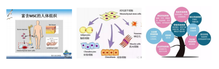 微信圖片_20200605093431 微信圖片_20200605093431