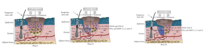 微信圖片_20200605093435 微信圖片_20200605093435