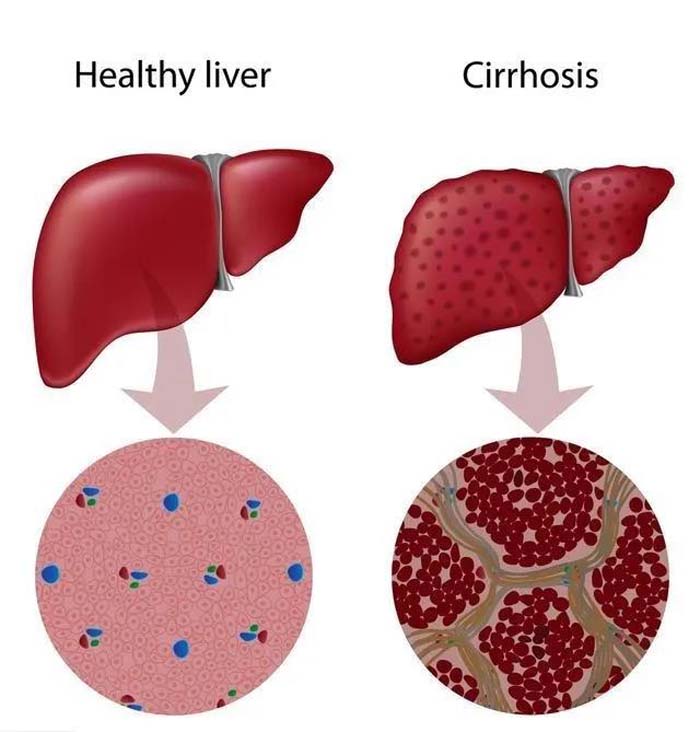 微信圖片_20200608093548 微信圖片_20200608093548