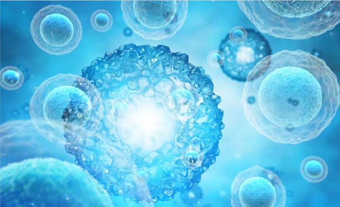 微信圖片_20200608093552 微信圖片_20200608093552