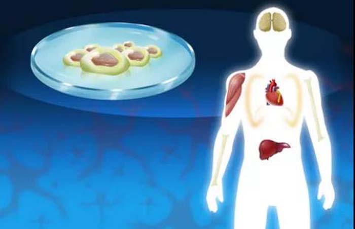 微信圖片_20200608093600 微信圖片_20200608093600