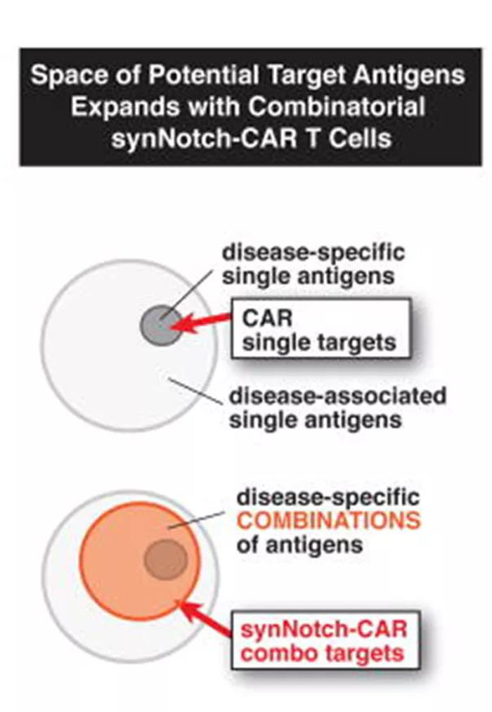 微信圖片_20200612094609 微信圖片_20200612094609