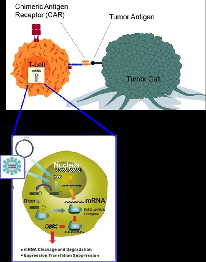 微信圖片_20200612094613 微信圖片_20200612094613