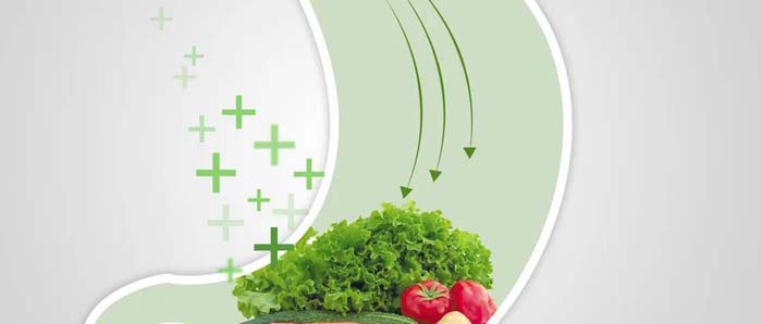 微信圖片_20200624170833