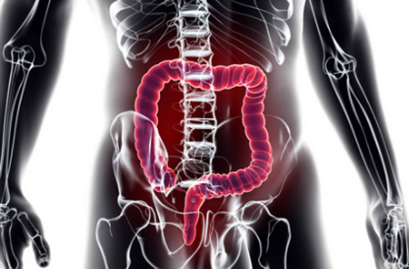 免疫細胞儲存 免疫細胞儲存