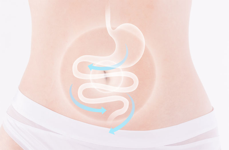 細胞儲存 細胞儲存