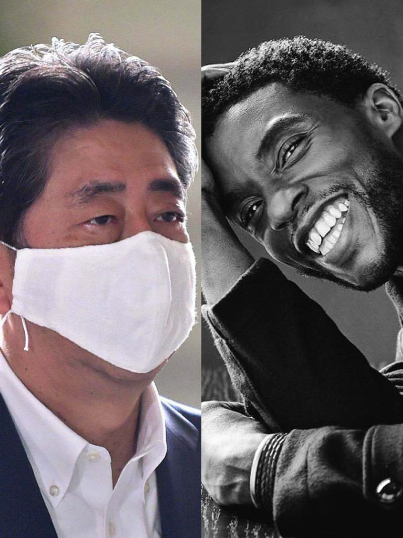 免疫細胞儲存 免疫細胞儲存