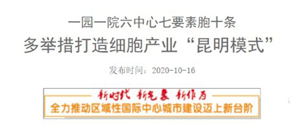 成人脂肪干細胞存儲 成人脂肪干細胞存儲