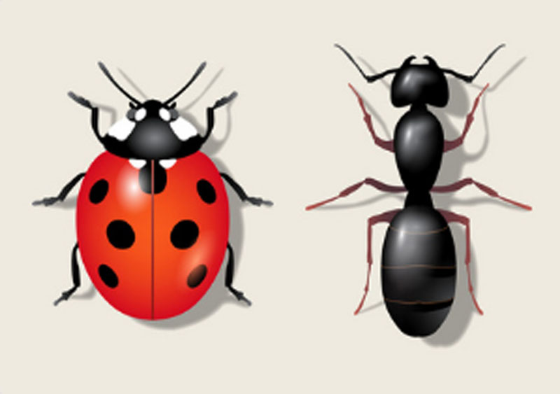 細胞存儲 細胞存儲