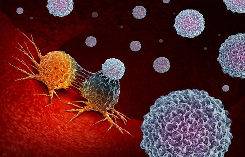 細胞存儲 細胞存儲