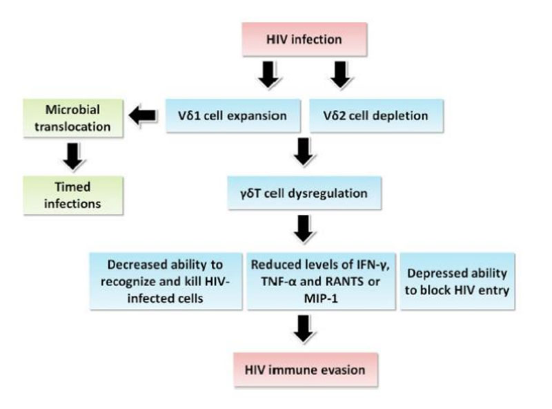 細胞存儲 細胞存儲